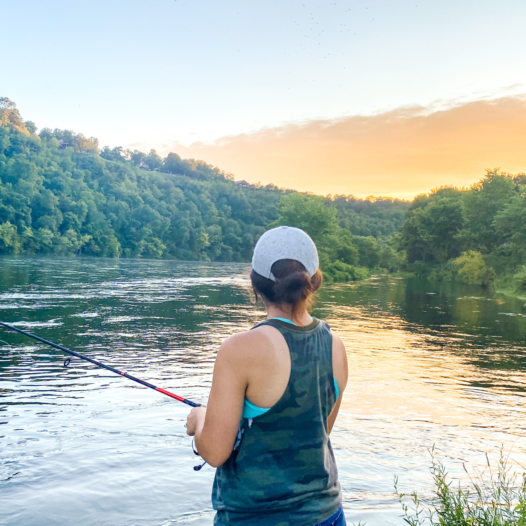 Collection 105+ Pictures bull shoals white river state park – campsite photos Completed