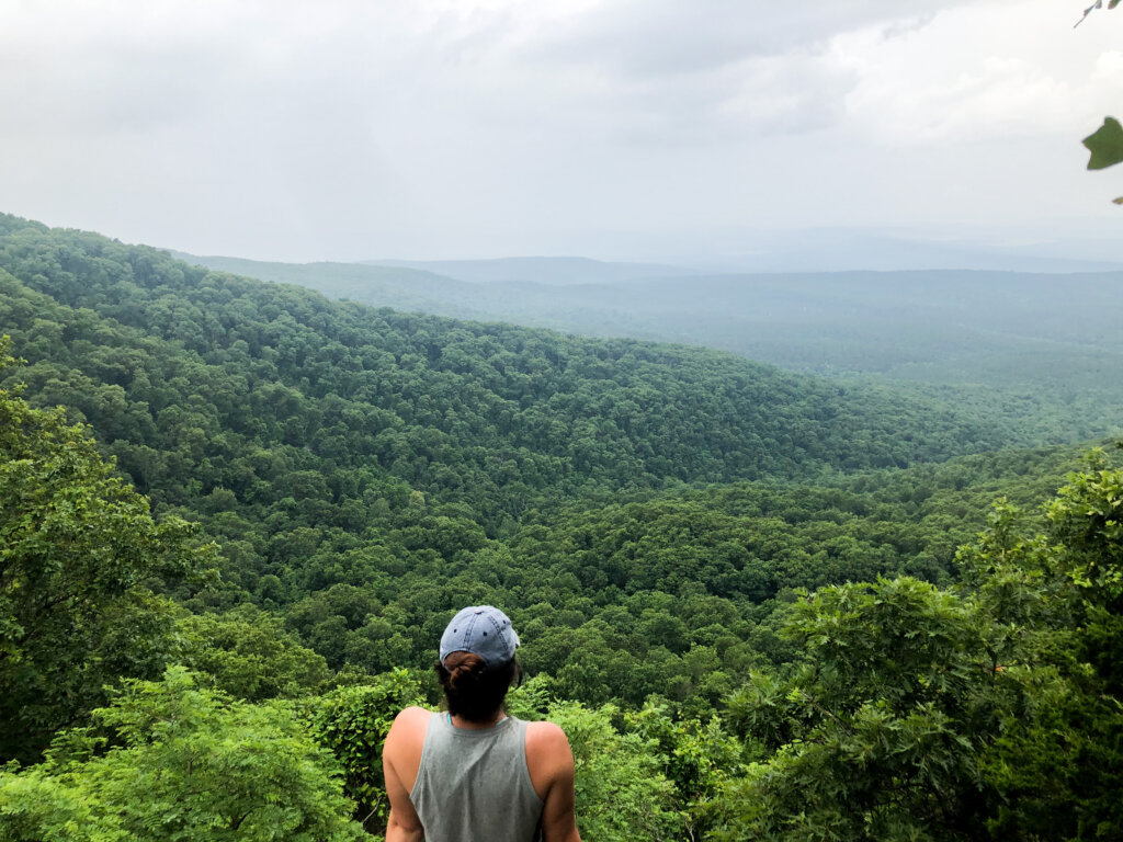 Arkansas State Park 