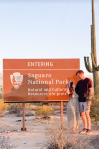 Tucson & Saguaro